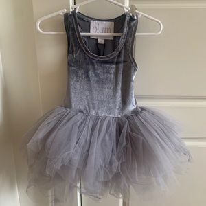 Silver/Titanium Velvet PLUM brand Tutu